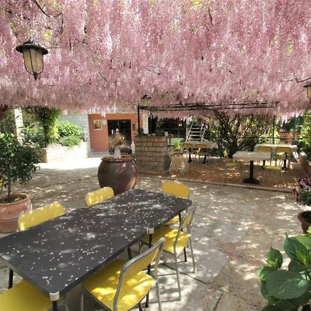 Apartment Orietta Савудрия Екстериор снимка